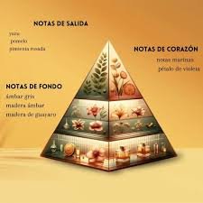 Pirâmide Olfativa (Nosso Produto)